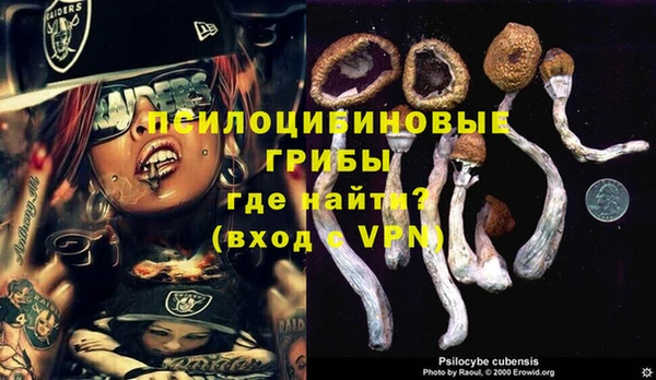 мескалин Балахна