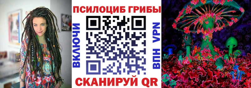 Купить  Боровичи  Галлюциногенные грибы прущие грибы 